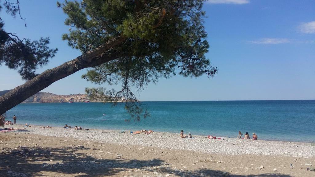 Luda Kuca Daire Bar Dış mekan fotoğraf